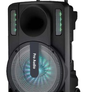 New 15-inch speaker VC-15MD