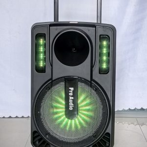 New 15-inch speaker VC-15MD
